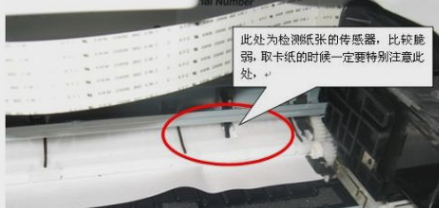 打印机 打印机