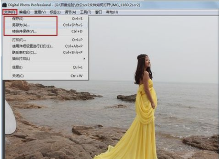 cr2文件 cr2文件