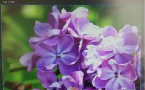 1606955987814290.png image.png