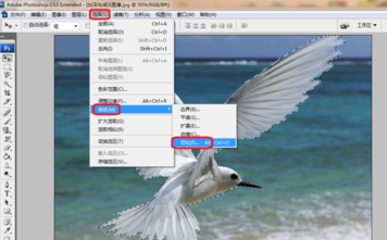 1638503046121642.png image.png