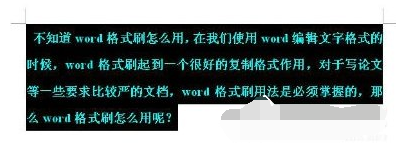 格式刷 格式刷