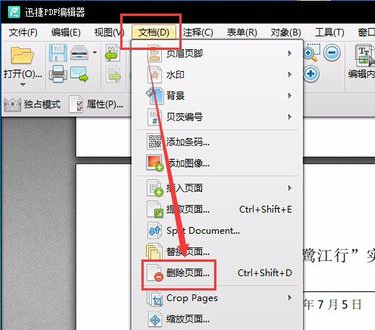 pdf pdf