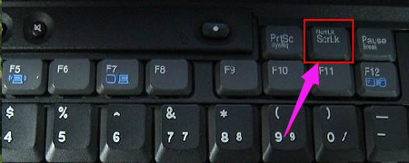 数字 数字