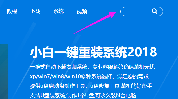 专业版下载 专业版下载