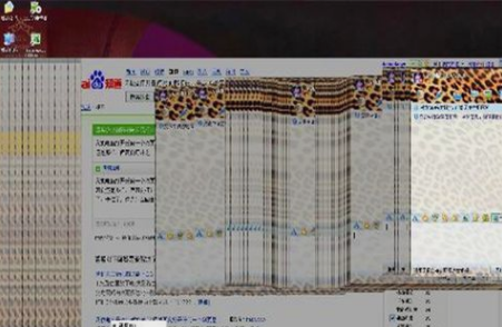 电脑网络卡 电脑网络卡