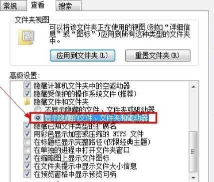 显示隐藏文件