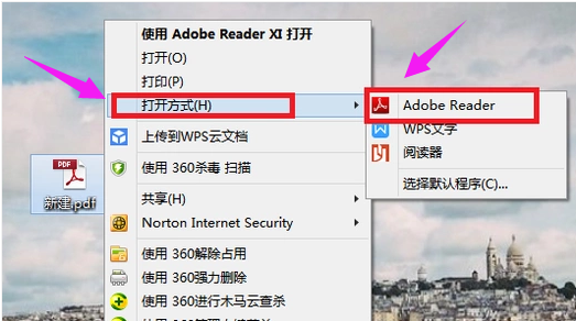打开pdf